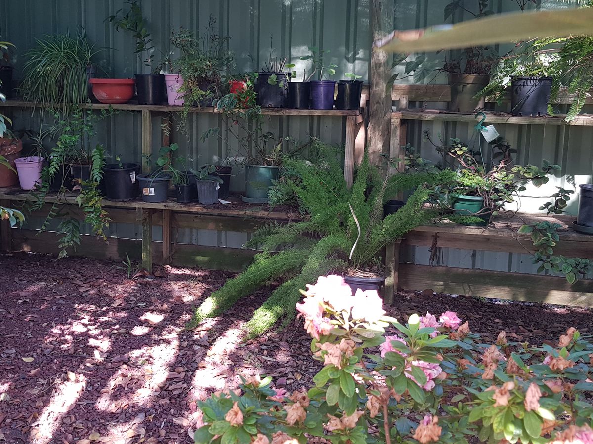 2 Edward St , Rochester