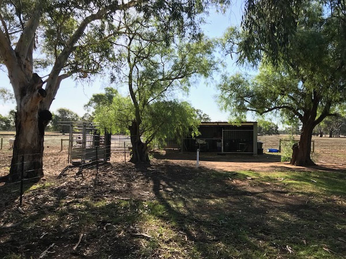 397 Harry Road, Milloo