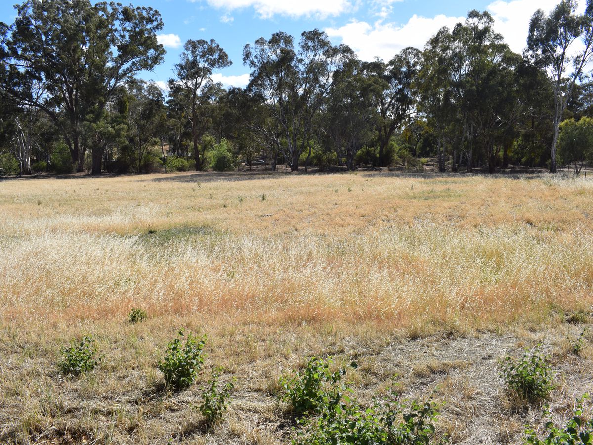 Lot CA 17, High Street, Wedderburn