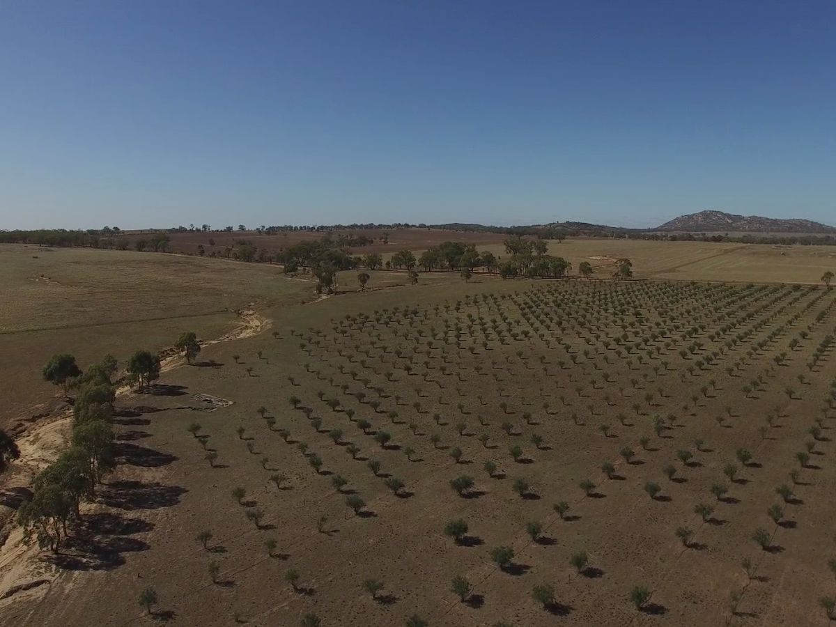 72 KENNEDY ROAD, Fiery Flat