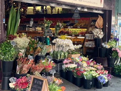 1 / 317 Darling Street, Balmain