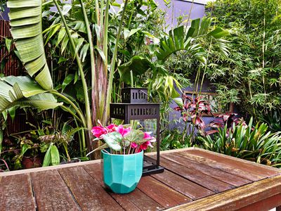 217 Evans Street, Rozelle