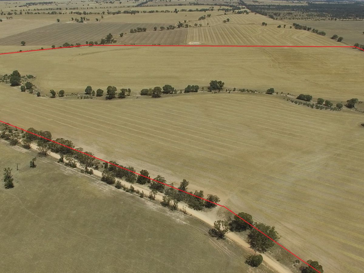 Lot 104, Boort-Kurting Road, Fiery Flat