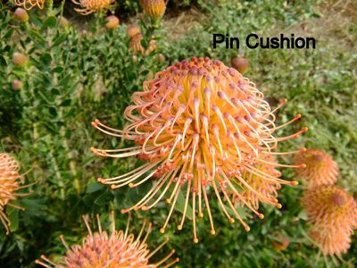 469 Bunganail Road, Nagambie