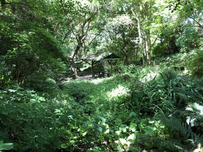 59 and 61 Wilson Road, Balclutha