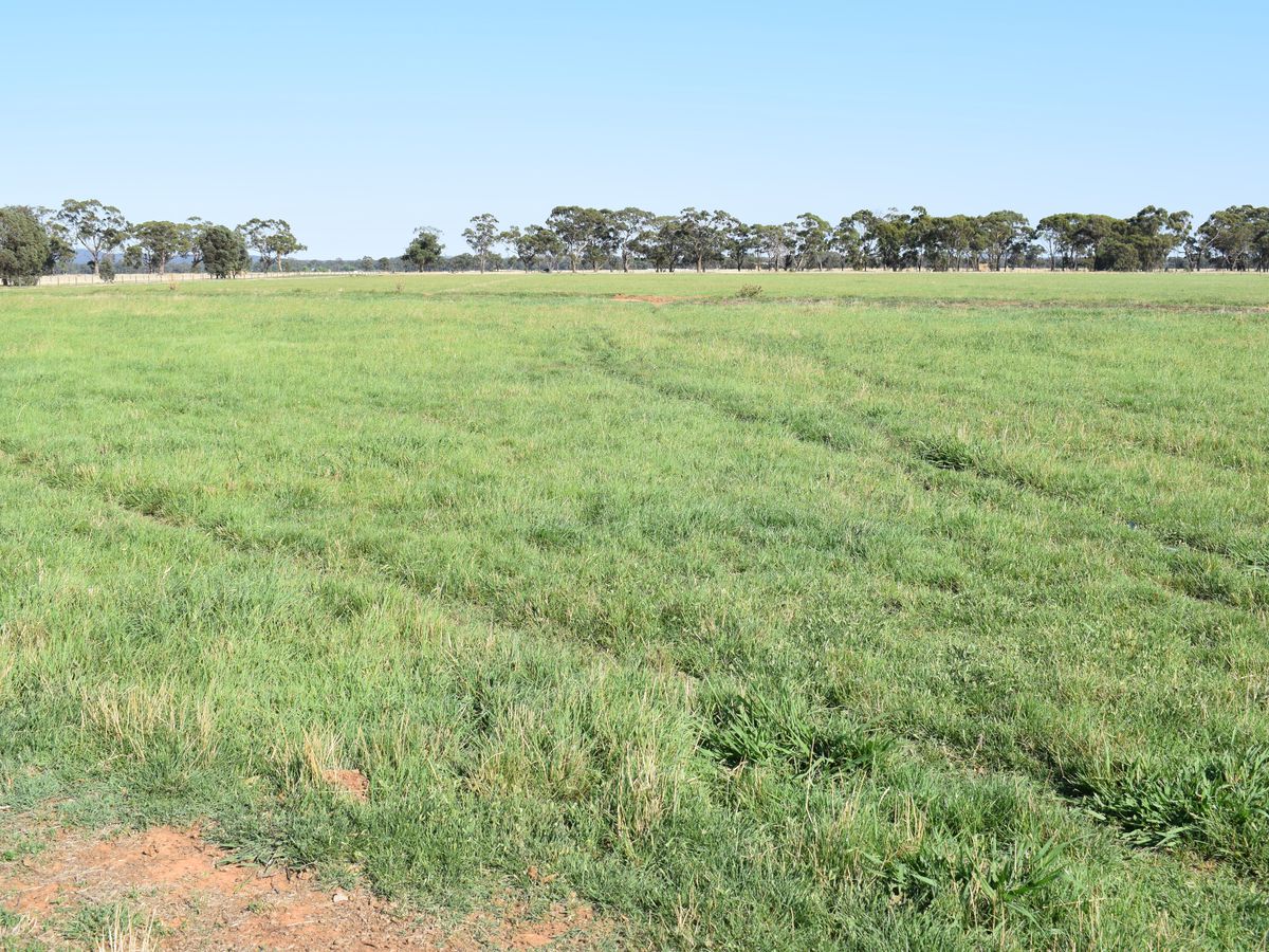 CA 5 BRIDGEWATER-DUNOLLY ROAD, Bridgewater