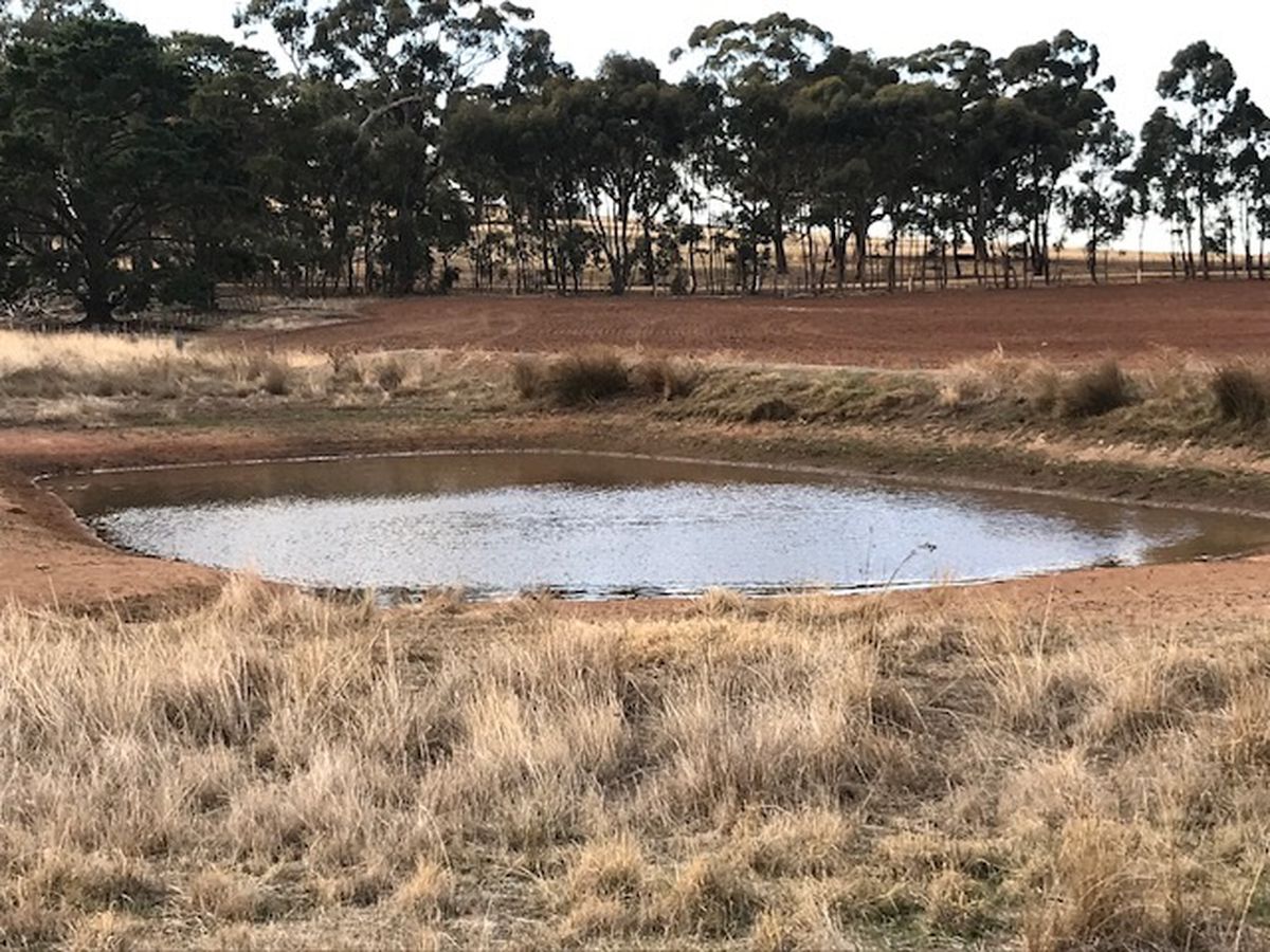 Cnr   Speers & Ryan Rd  , Corop