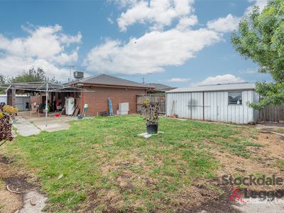 19 Medway Road, Craigieburn