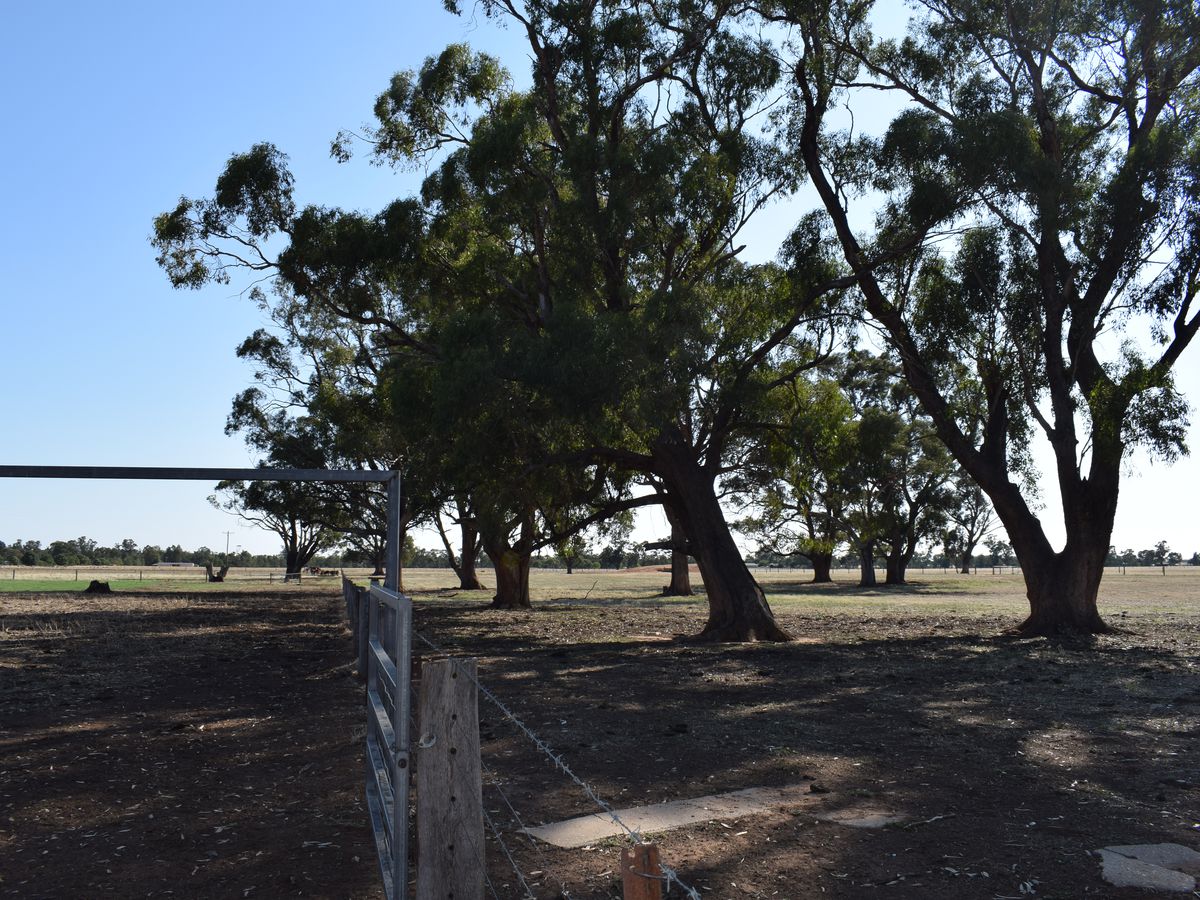 CA 5 BRIDGEWATER-DUNOLLY ROAD, Bridgewater
