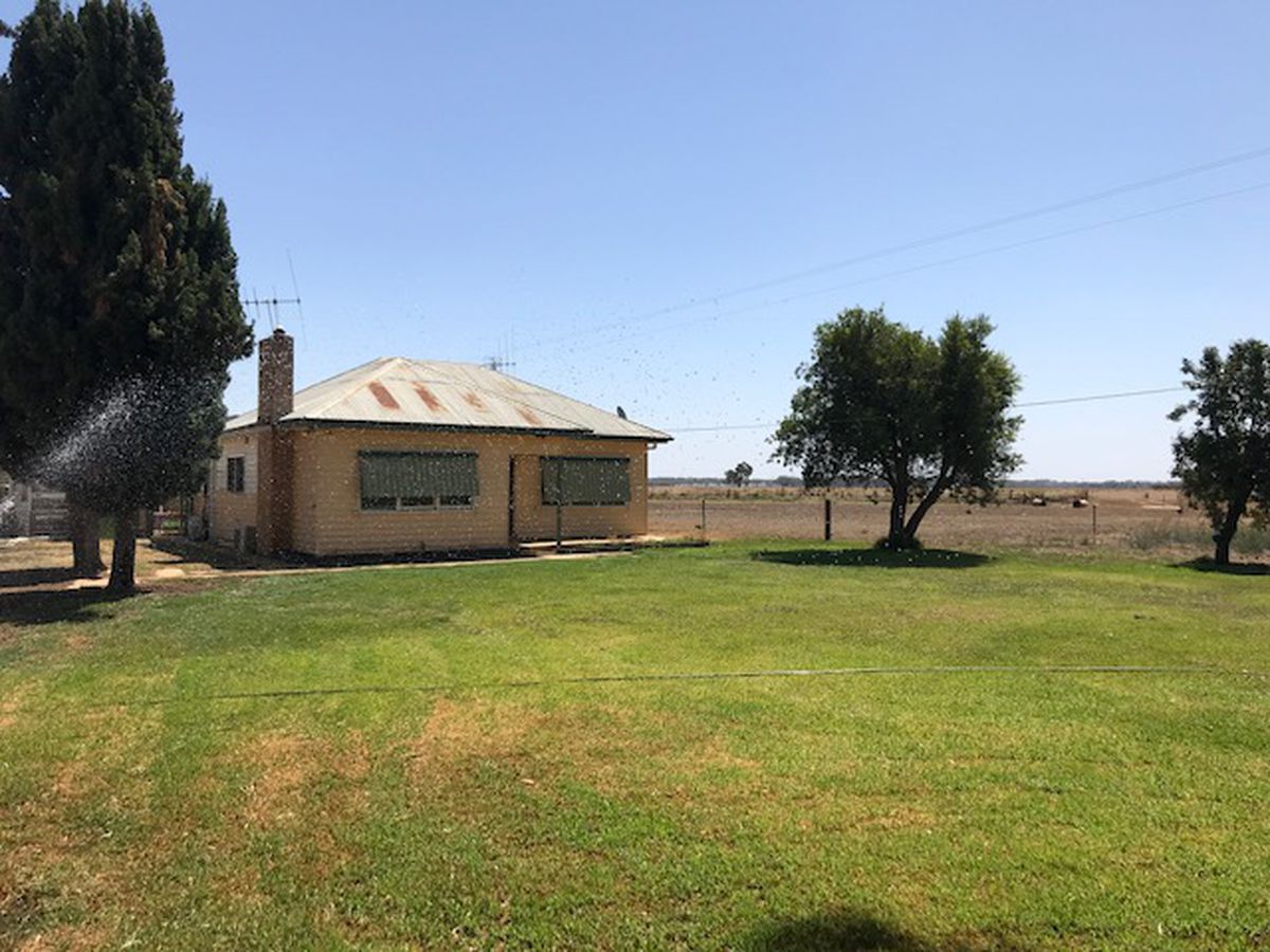 877 Echuca-Nanneella Road, Nanneella