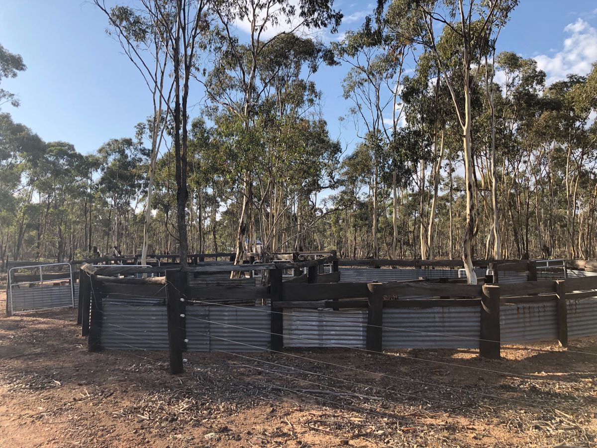 42 Burkes Flat-Wehla Road, Burkes Flat