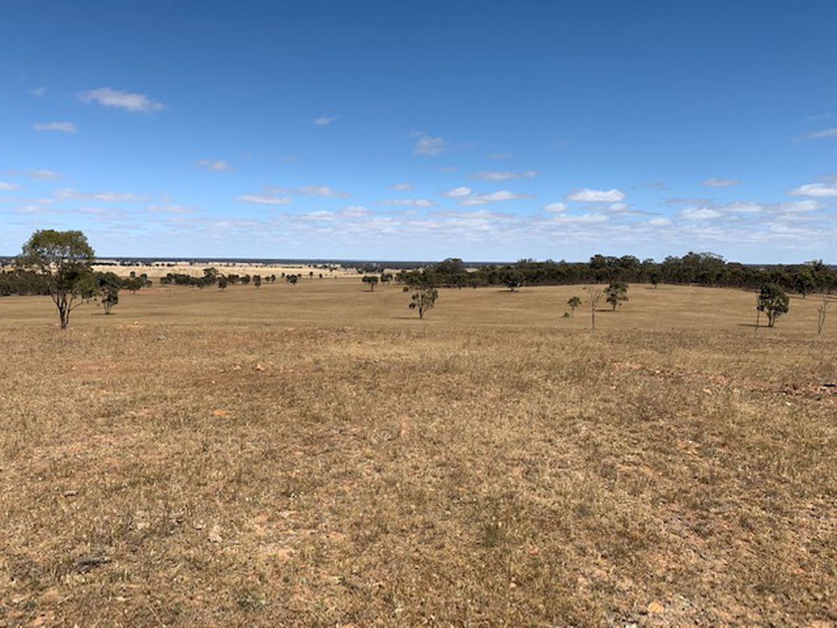 3176 Hanrahan Road, Corop