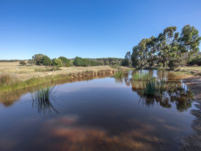 1277 Three Chain Road, Newham