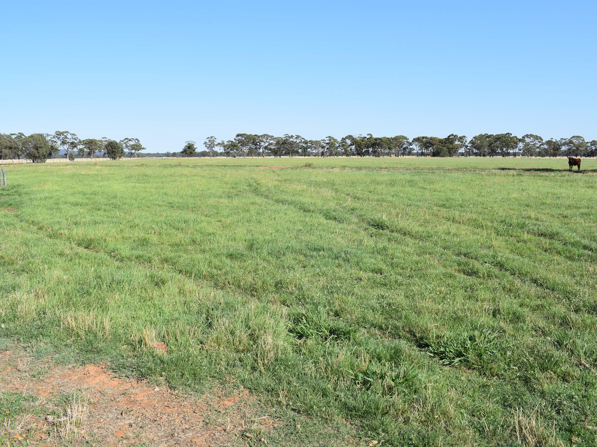 CA 5 BRIDGEWATER-DUNOLLY ROAD, Bridgewater