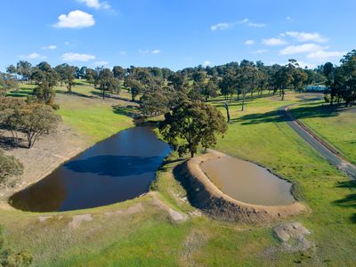 95 Daisyburn Road, Hilldene