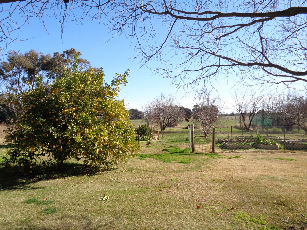 211 Torrumbarry Weir Road, Patho