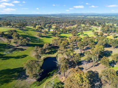 95 Daisyburn Road, Hilldene