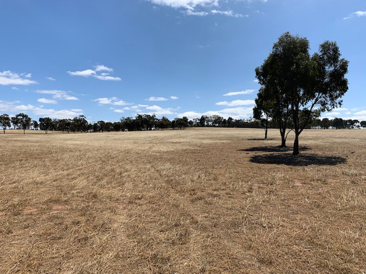 3176 Hanrahan Road, Corop