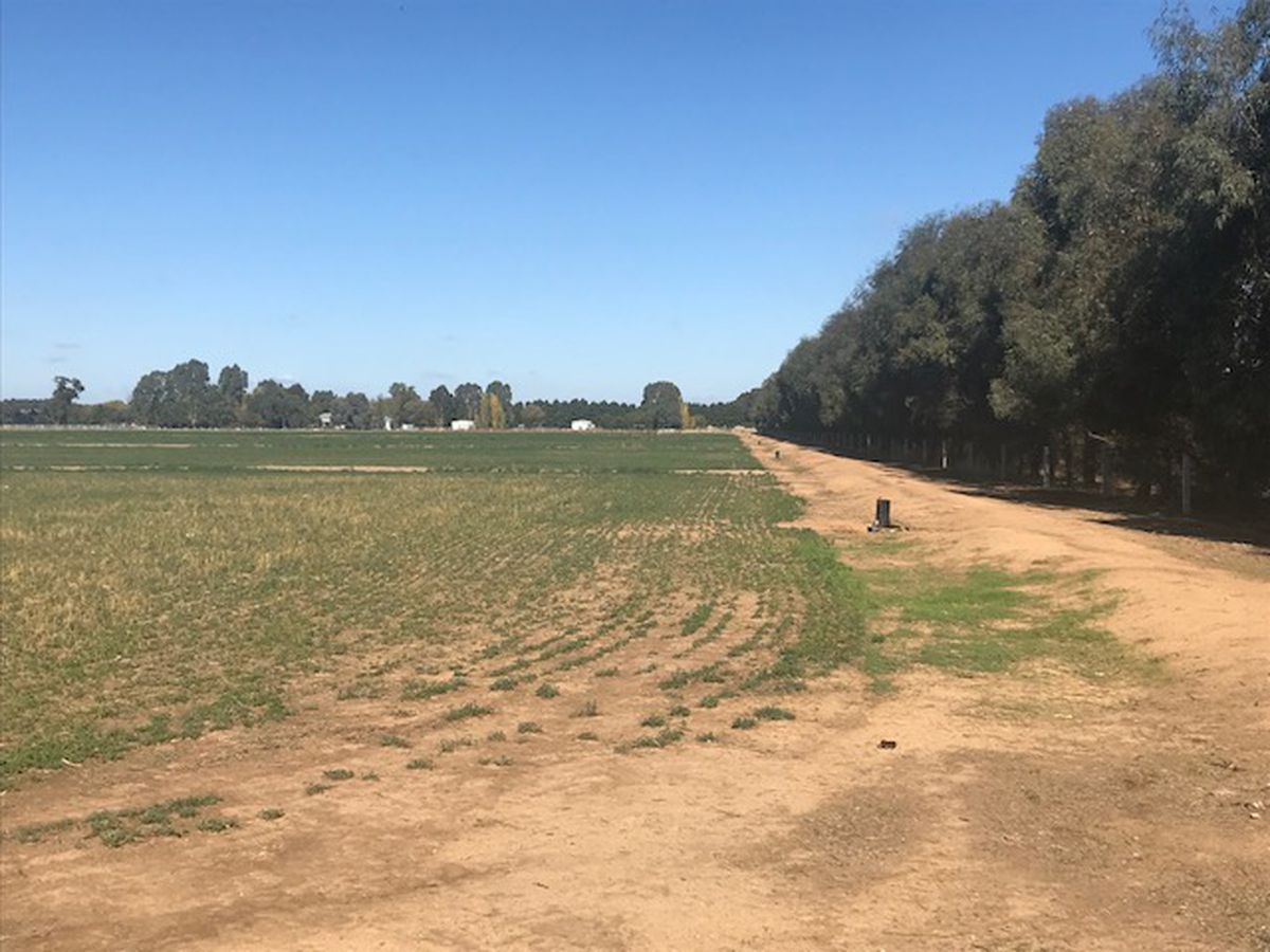 106 Bangerang Road, Echuca Village