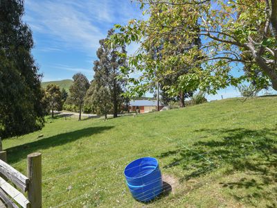 82 Scurr Road, Scroggs Hill