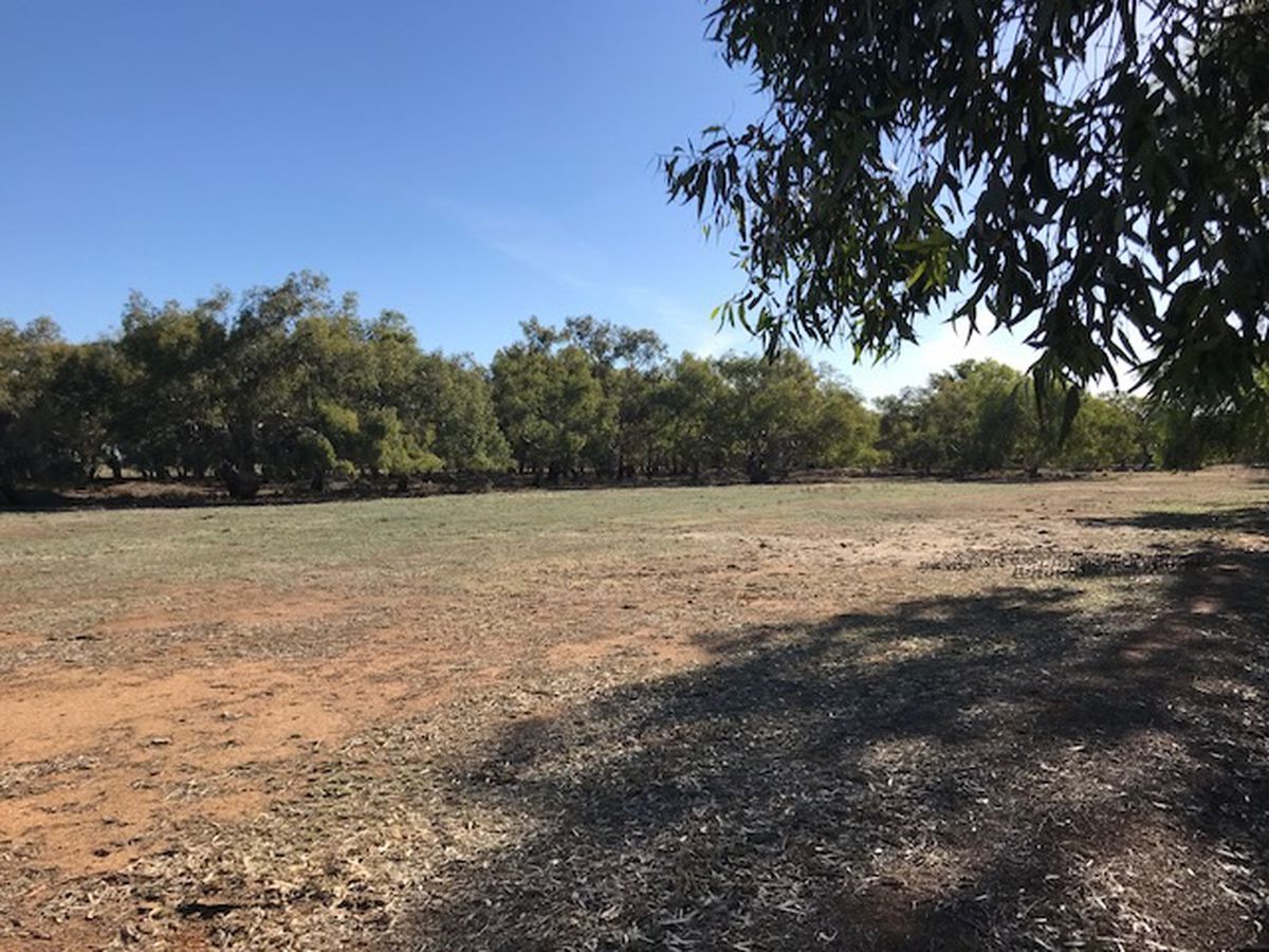 397 Harry Road, Milloo