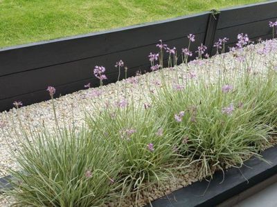 8 Pecos Close, St Clair