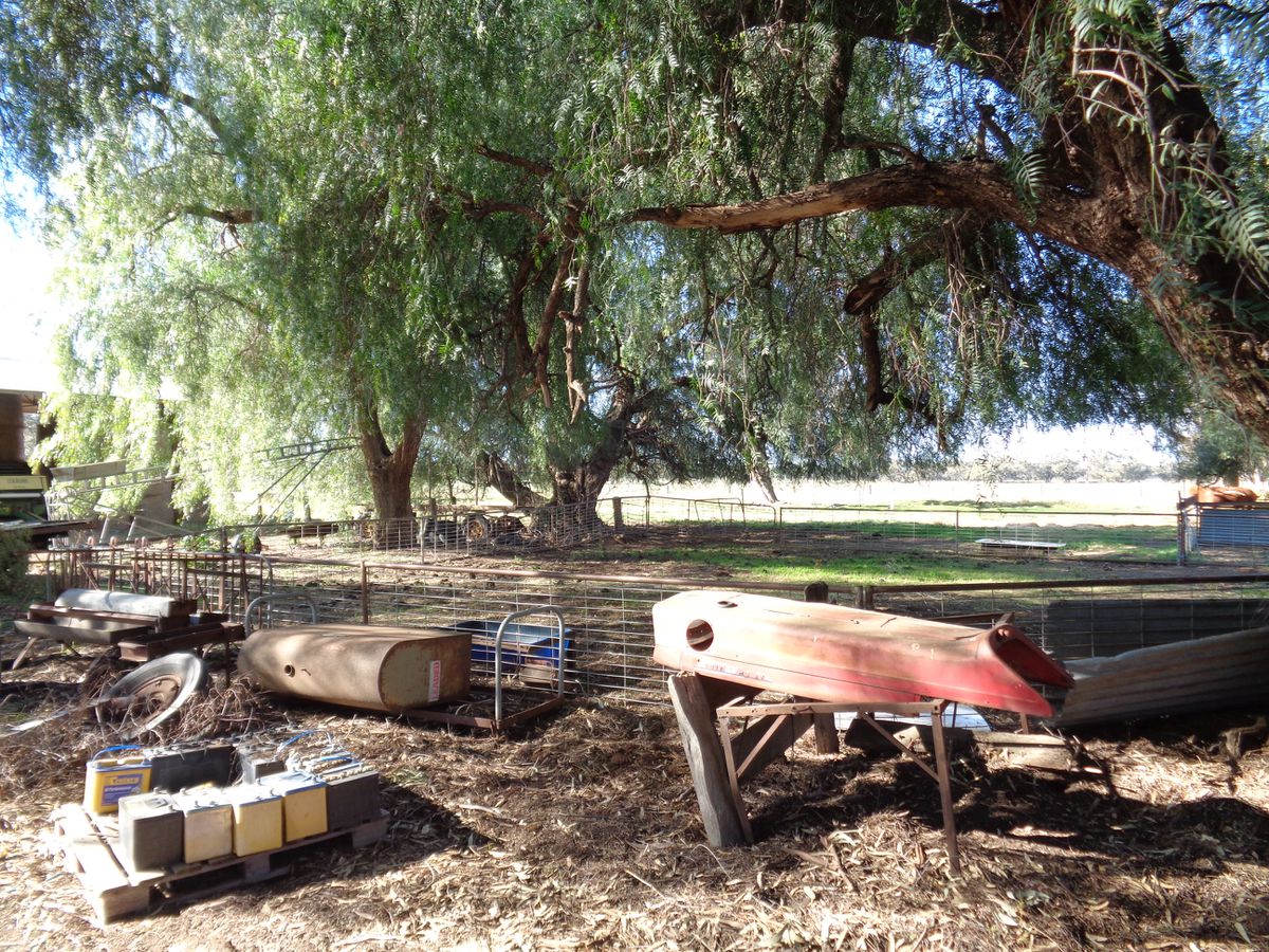 211 Torrumbarry Weir Road, Patho