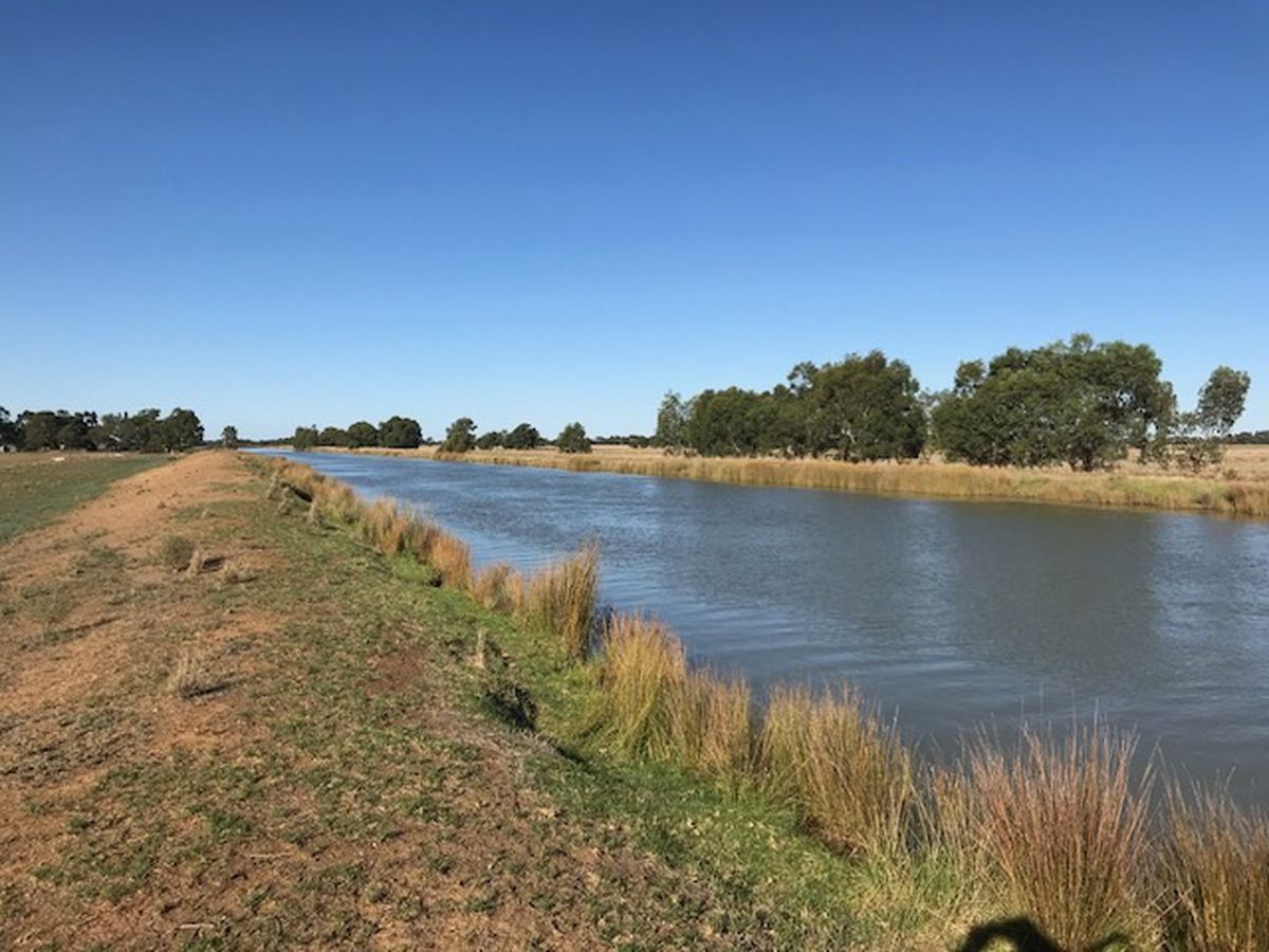 397 Harry Road, Milloo