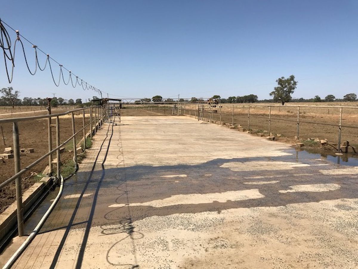 877 Echuca-Nanneella Road, Nanneella