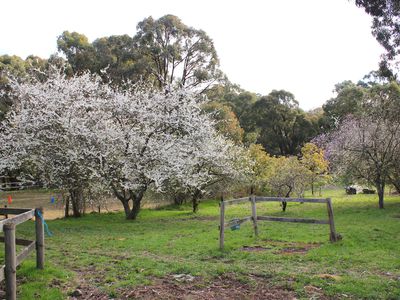 1362 Romsey Road, Romsey