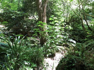 59 and 61 Wilson Road, Balclutha