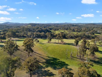 95 Daisyburn Road, Hilldene