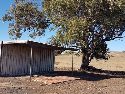 55 McGintys Lane, Glenaroua