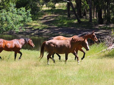 1362 Romsey Road, Romsey