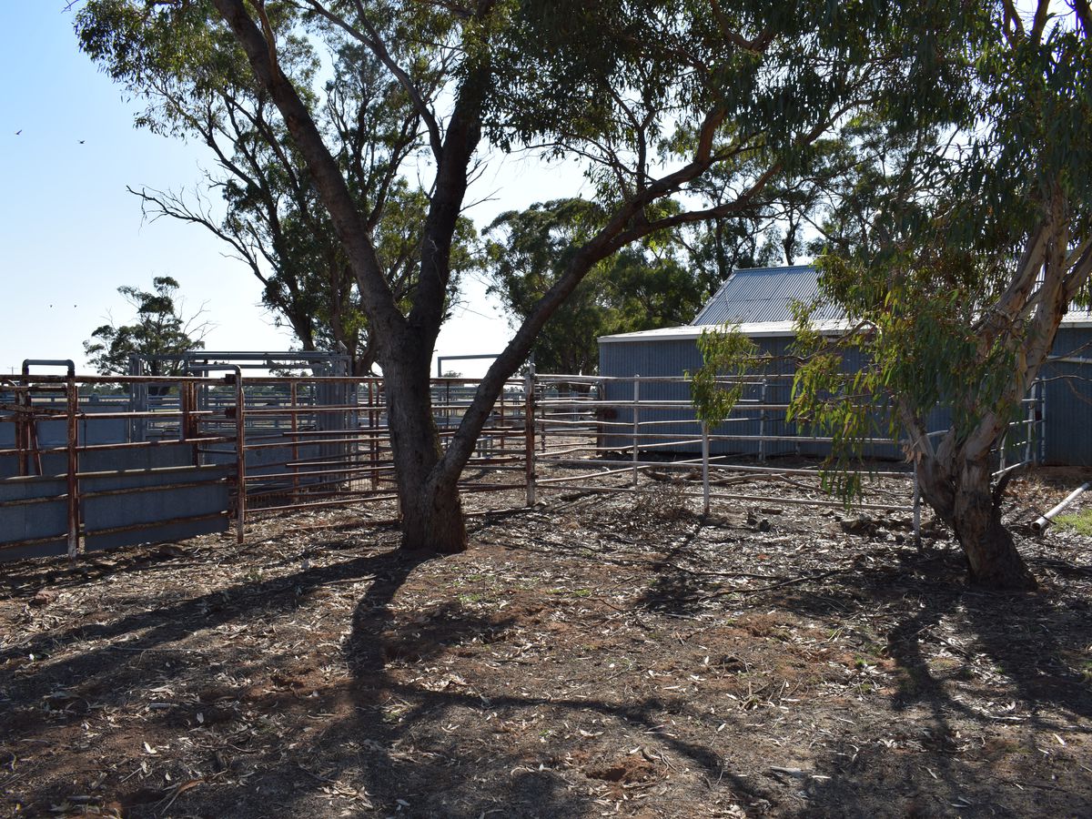 CA 5 BRIDGEWATER-DUNOLLY ROAD, Bridgewater