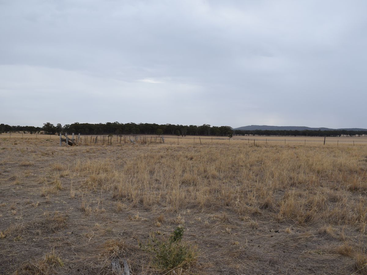 Lot 43, MCGUIRES ROAD, Bridgewater