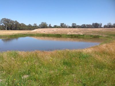 38 McCrackens Road, Locksley