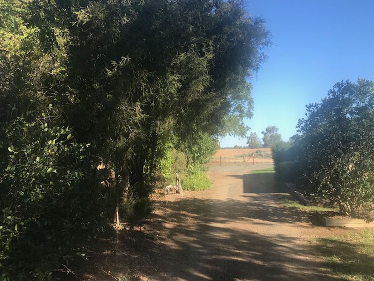 397 Harry Road, Milloo