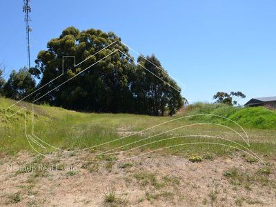 19 Hitchcock Drive, Nannup
