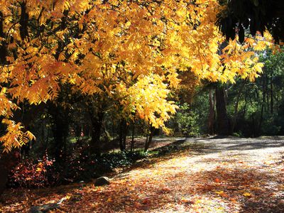 1362 Romsey Road, Romsey