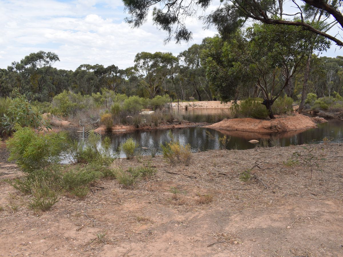 Inglewood-Salisbury Road, Inglewood