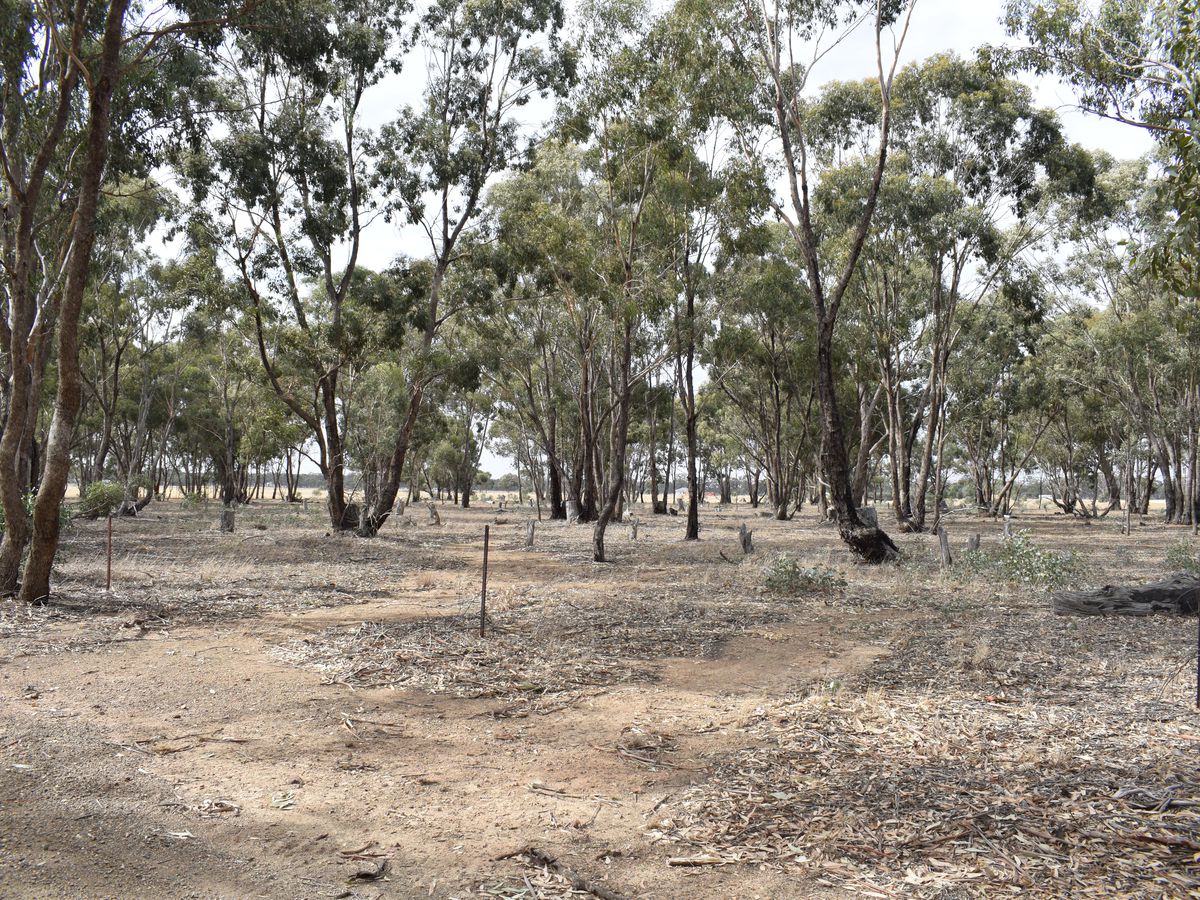 Lot 23, Wet Lane, Inglewood