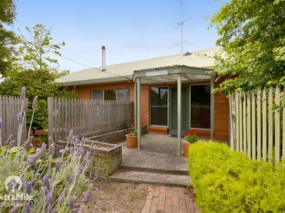 302 Lylia Avenue, Mount Clear 302 Lylia Avenue, Mount Clear