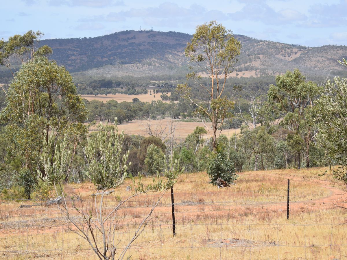 140 O'Briens Drive, Mcintyre