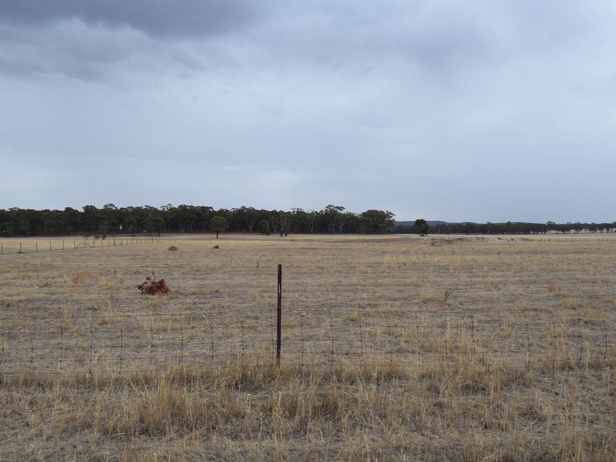 Lot 43, MCGUIRES ROAD, Bridgewater