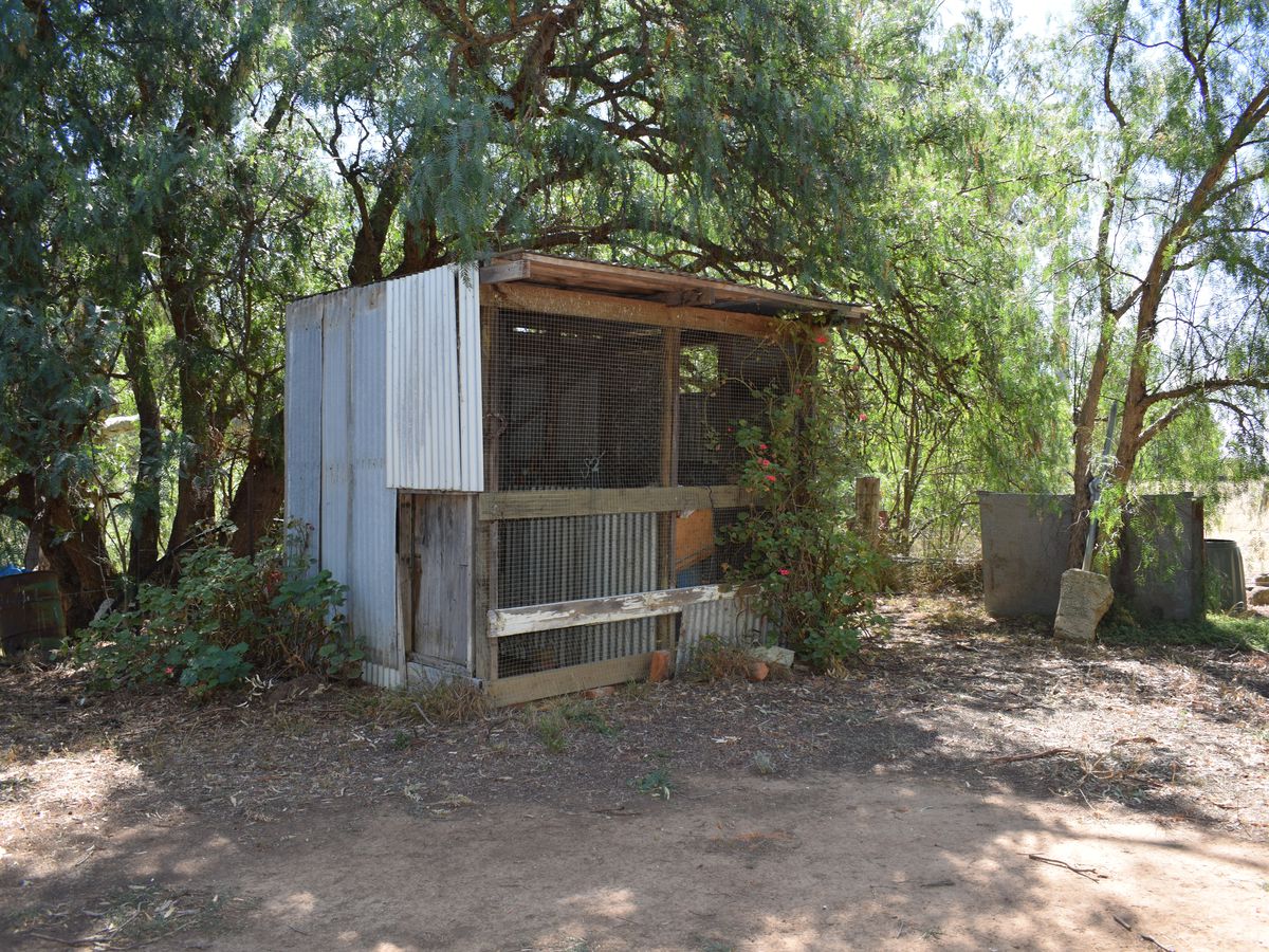 3381 Bridgewater-Maldon Road, Newbridge