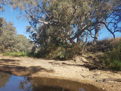 645 Seymour-Pyalong Road, Tallarook