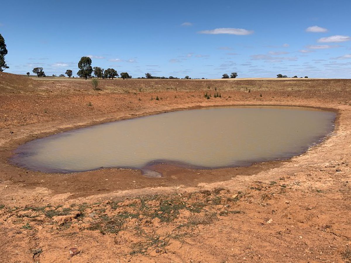 3176 Hanrahan Road, Corop