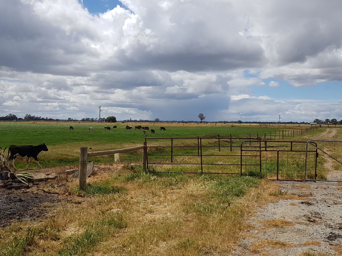 1336 Scobie Road, Tongala