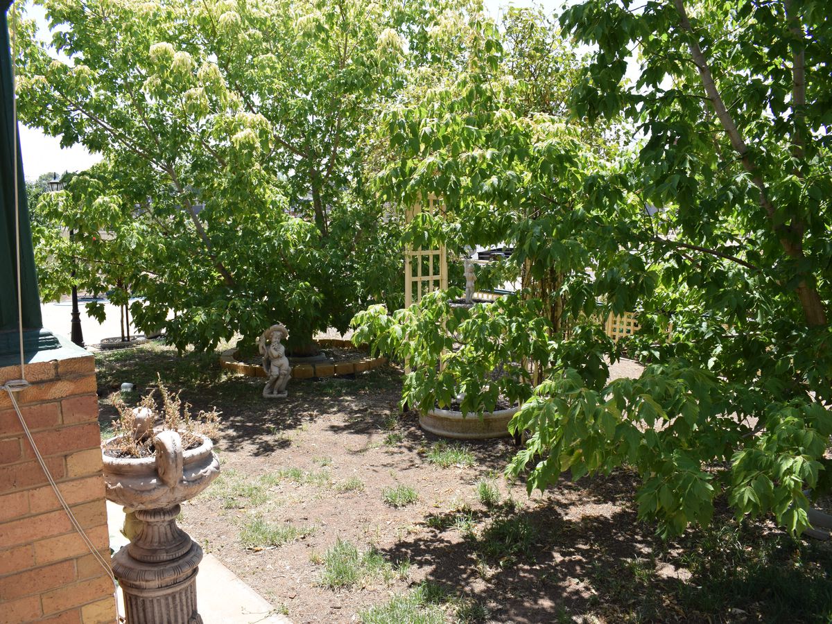 80 Sullivan Street, Inglewood